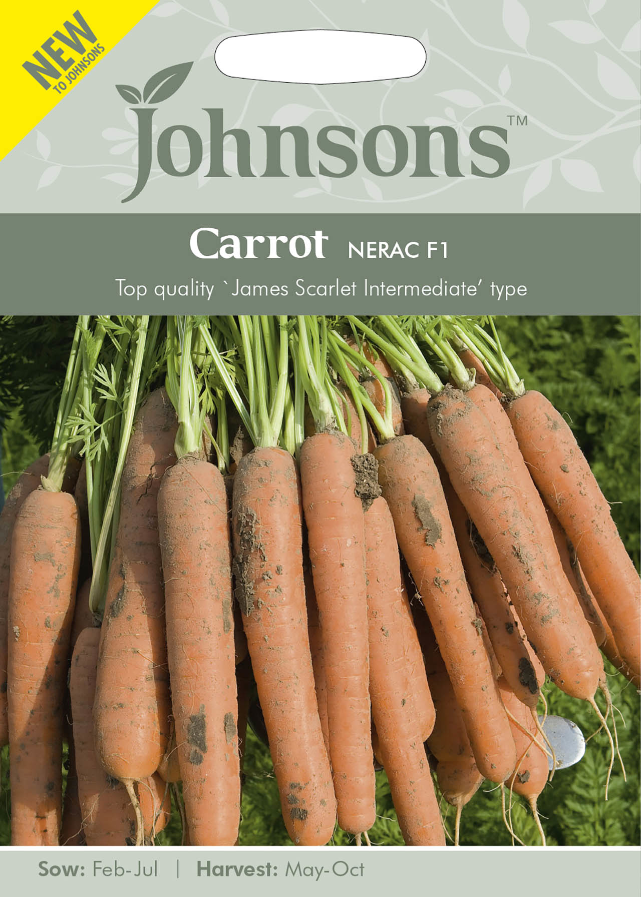 Carrot Nerac F1 Seeds