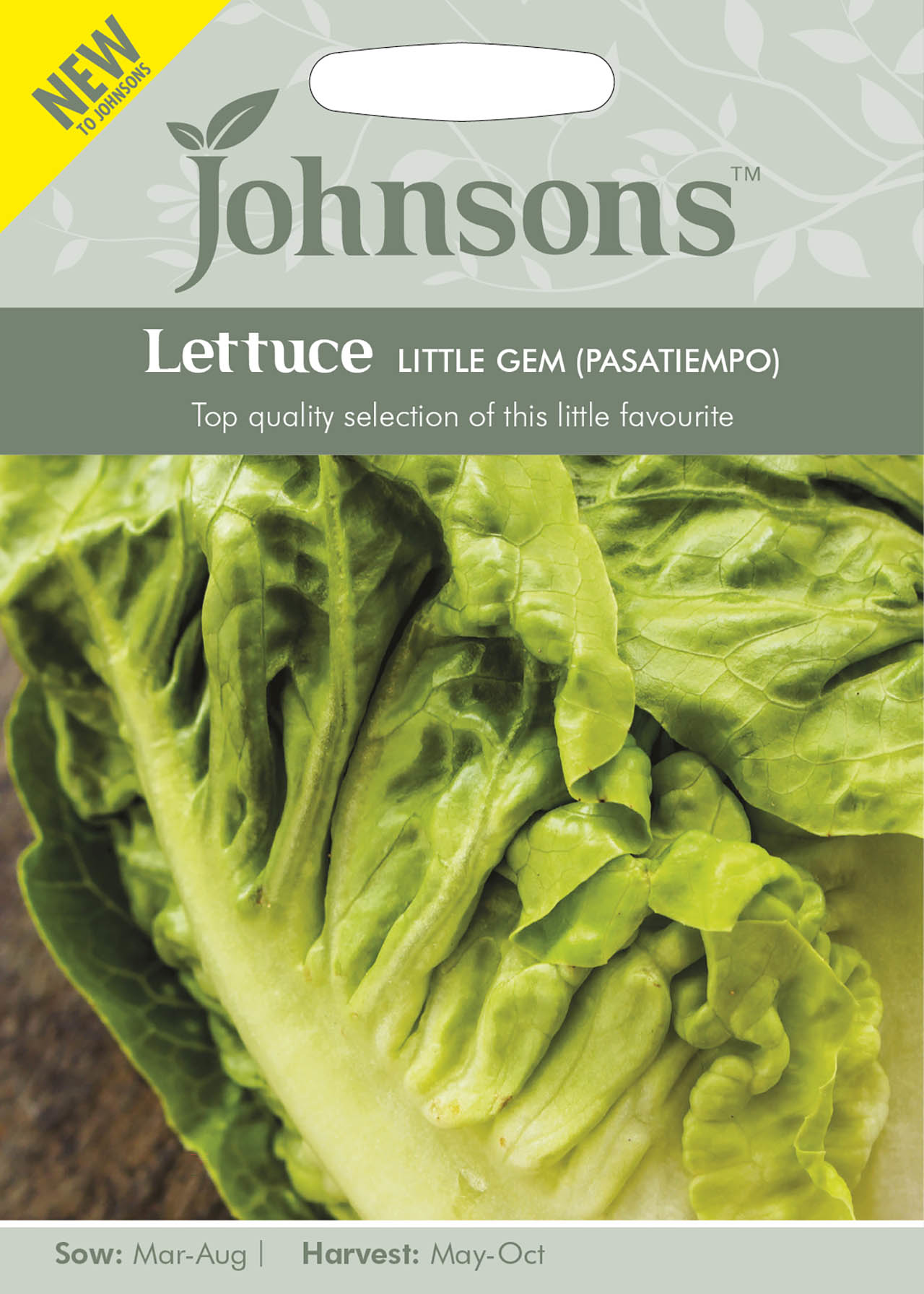 Lettuce Little Gem (Pasatiempo) Seeds