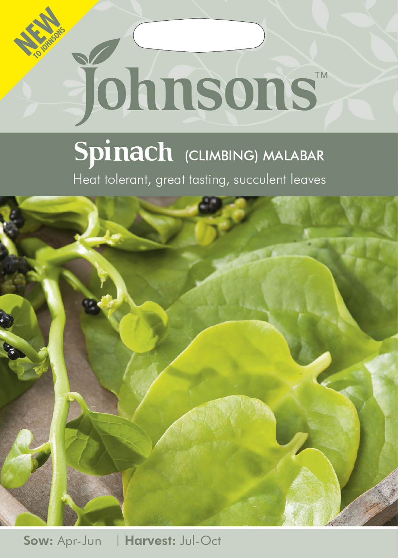 Spinach (Climbing) Malabar Seeds