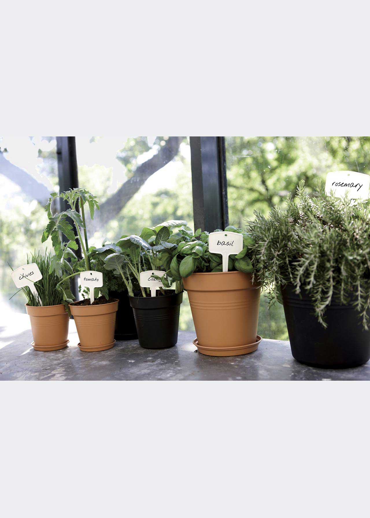 Elho Green Basics Growpot 19cm Terra