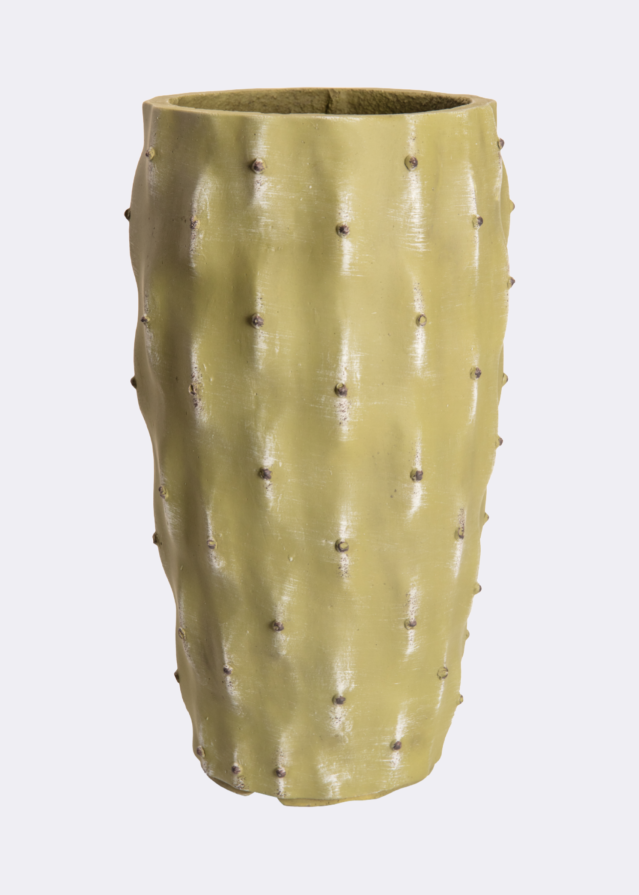 Cactus Outdoor Pot 21cm