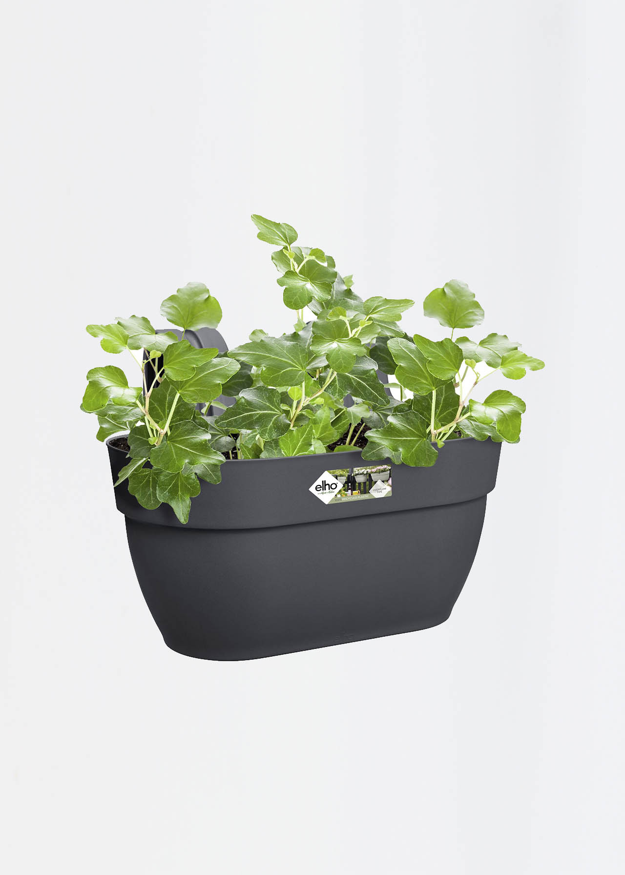 Elho Vibia Campana Hanger Medium Anthracite