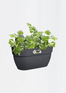 Elho Vibia Campana Hanger Medium Anthracite
