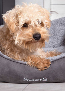 Scruffs Cosy Box Bed Grey