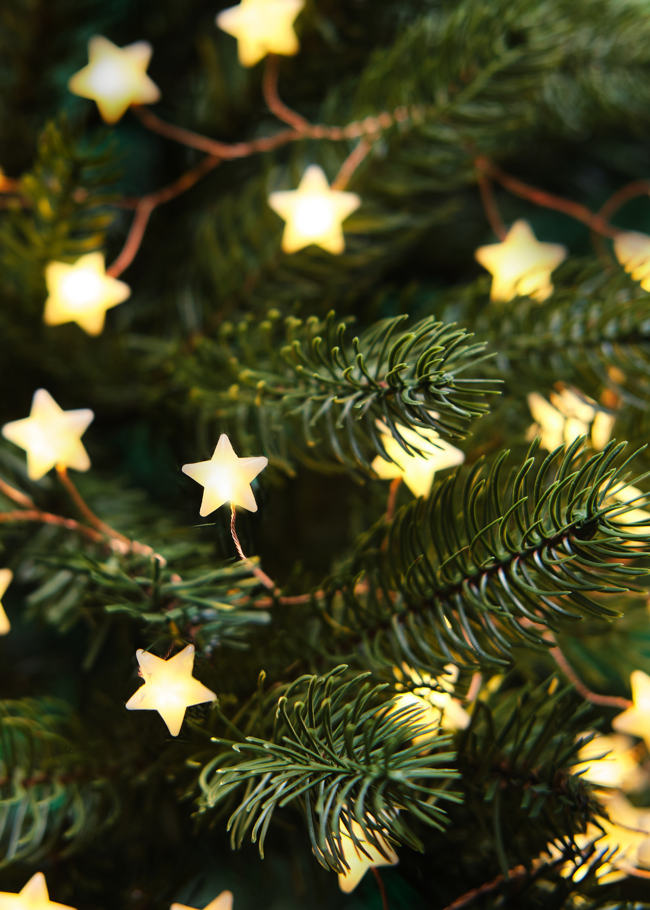 180 Warm White Silicone Star Cluster Garland Lights 3m