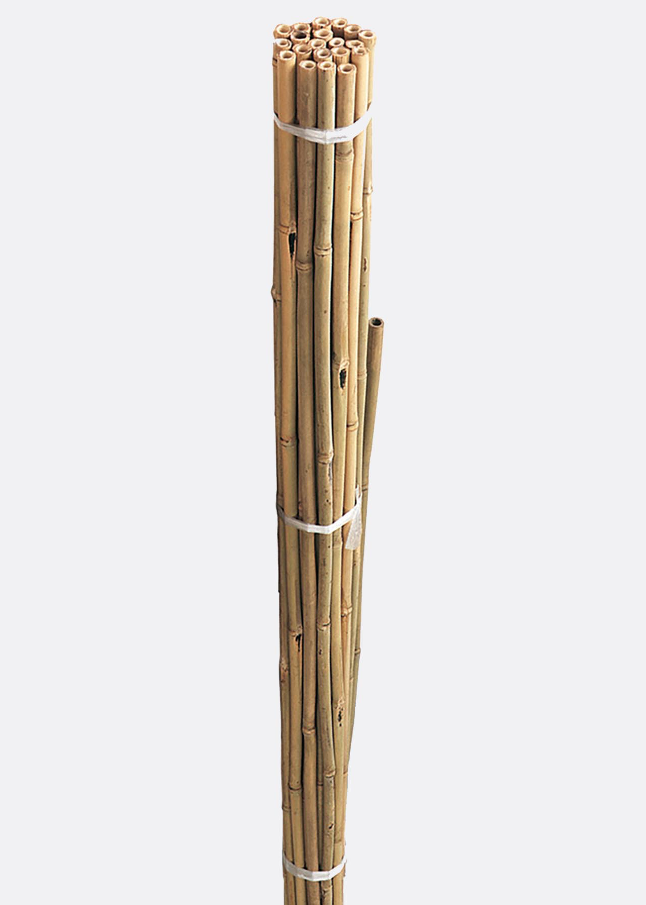 Pre-Bulk Bamboo Canes 60cm Pack Of 20