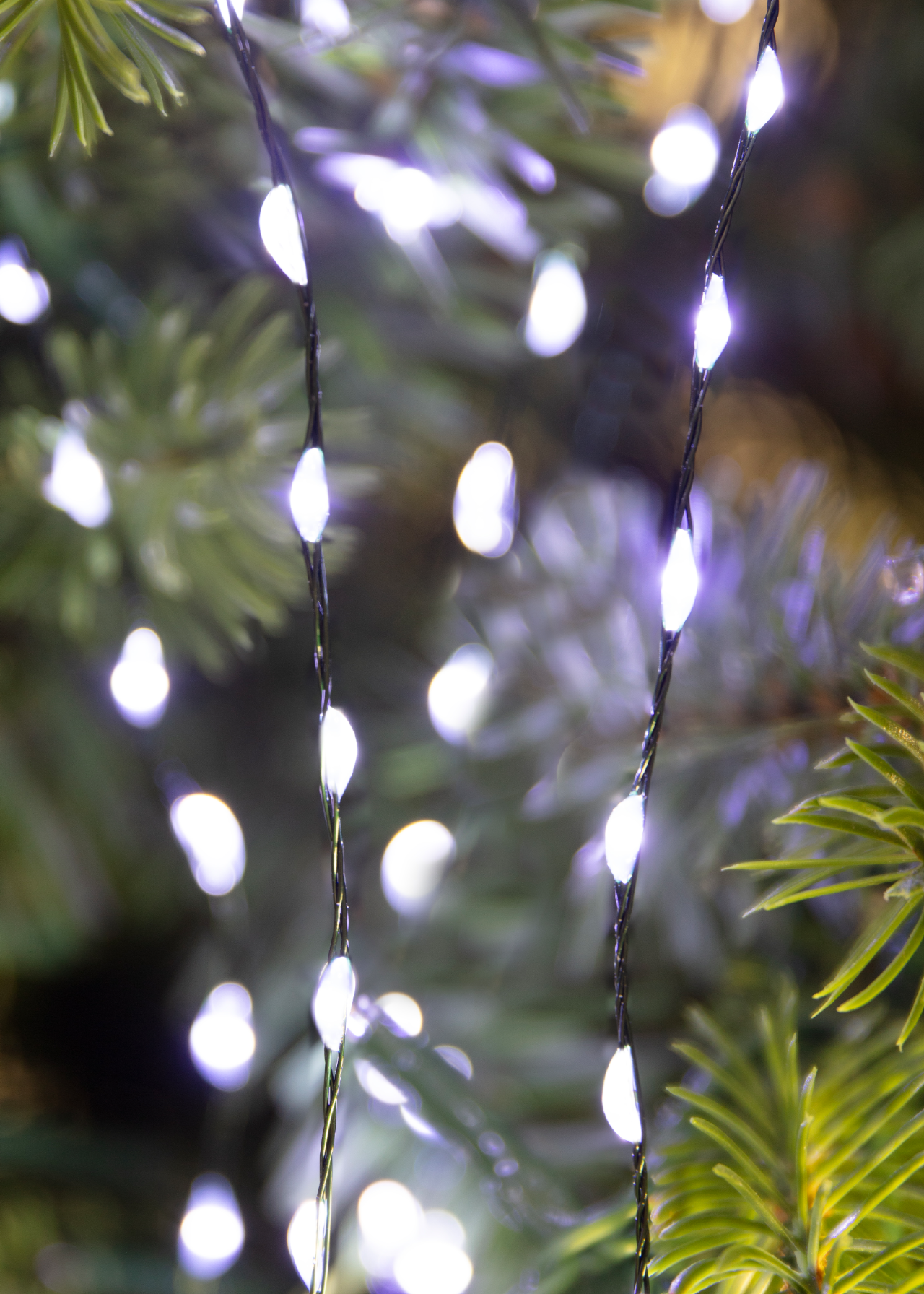 240 Micro Wire Bright White String Lights