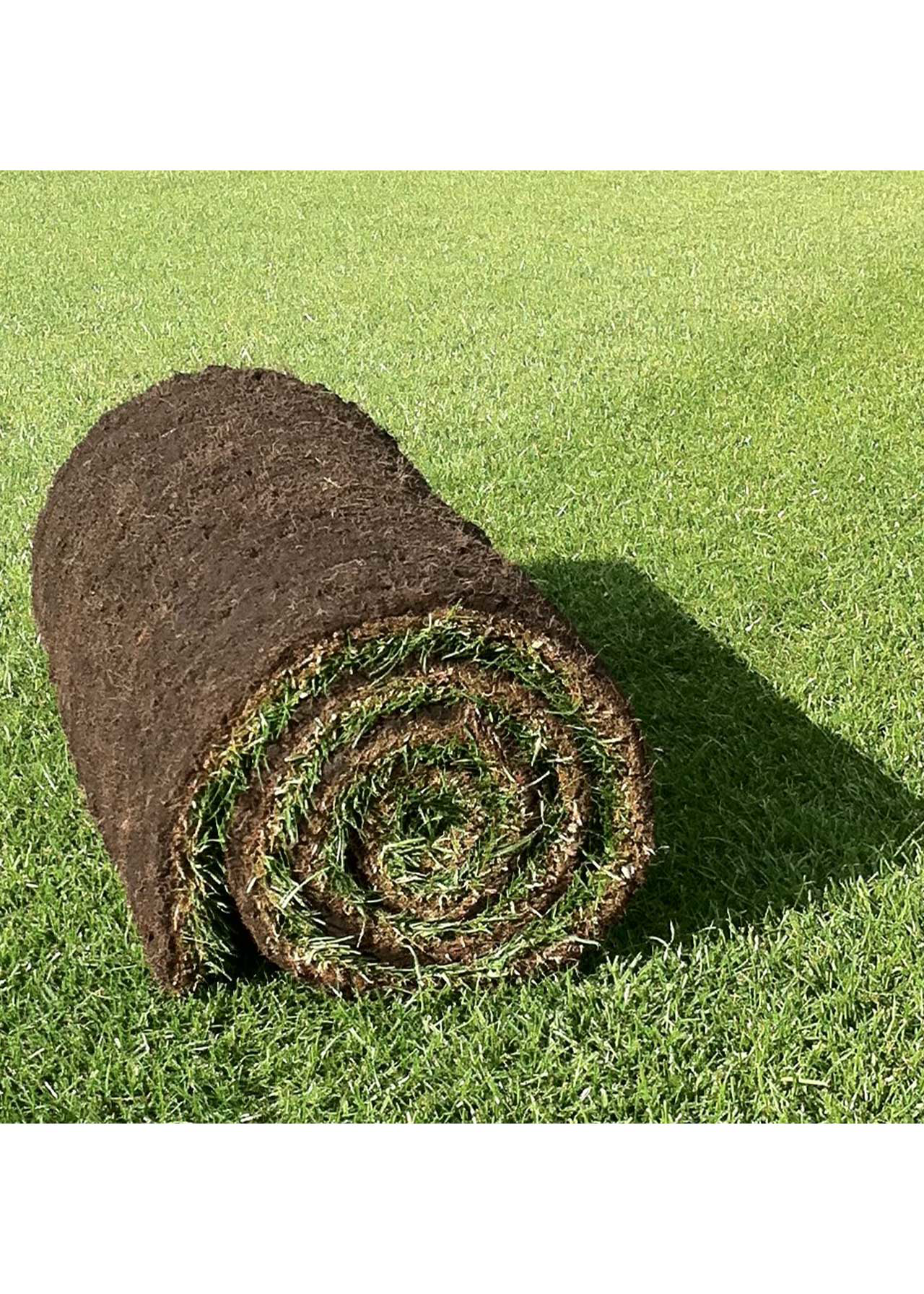 Premium Lawn Turf 10sqm