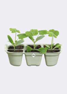 Elho Green Basics Seed Tray 22cm