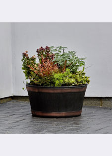 Oakwood Barrel Planter 50cm