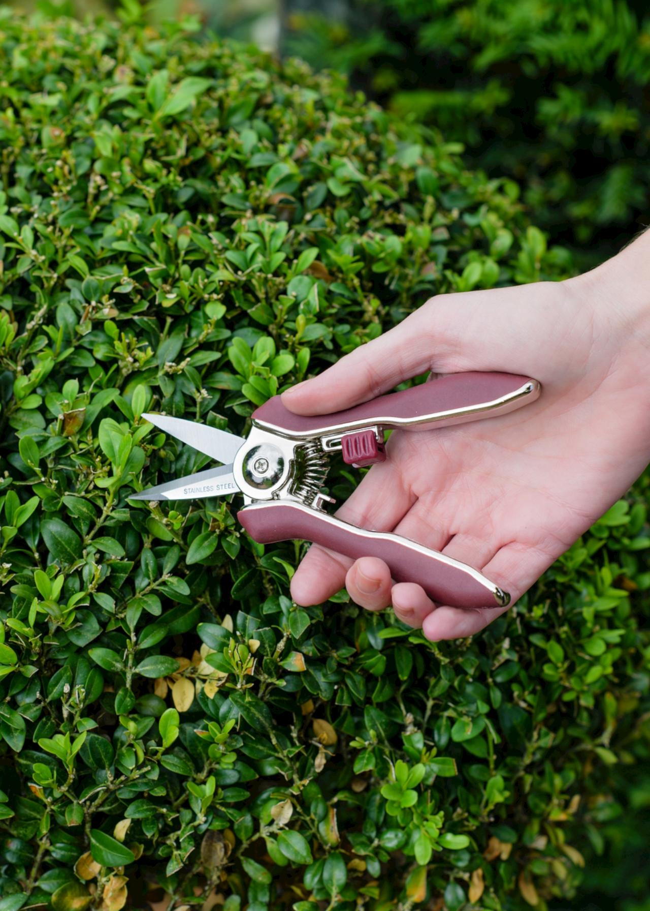 Kent & Stowe Garden Life Pruning Snips