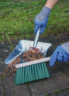 Dobbies Dust Pan & Brush