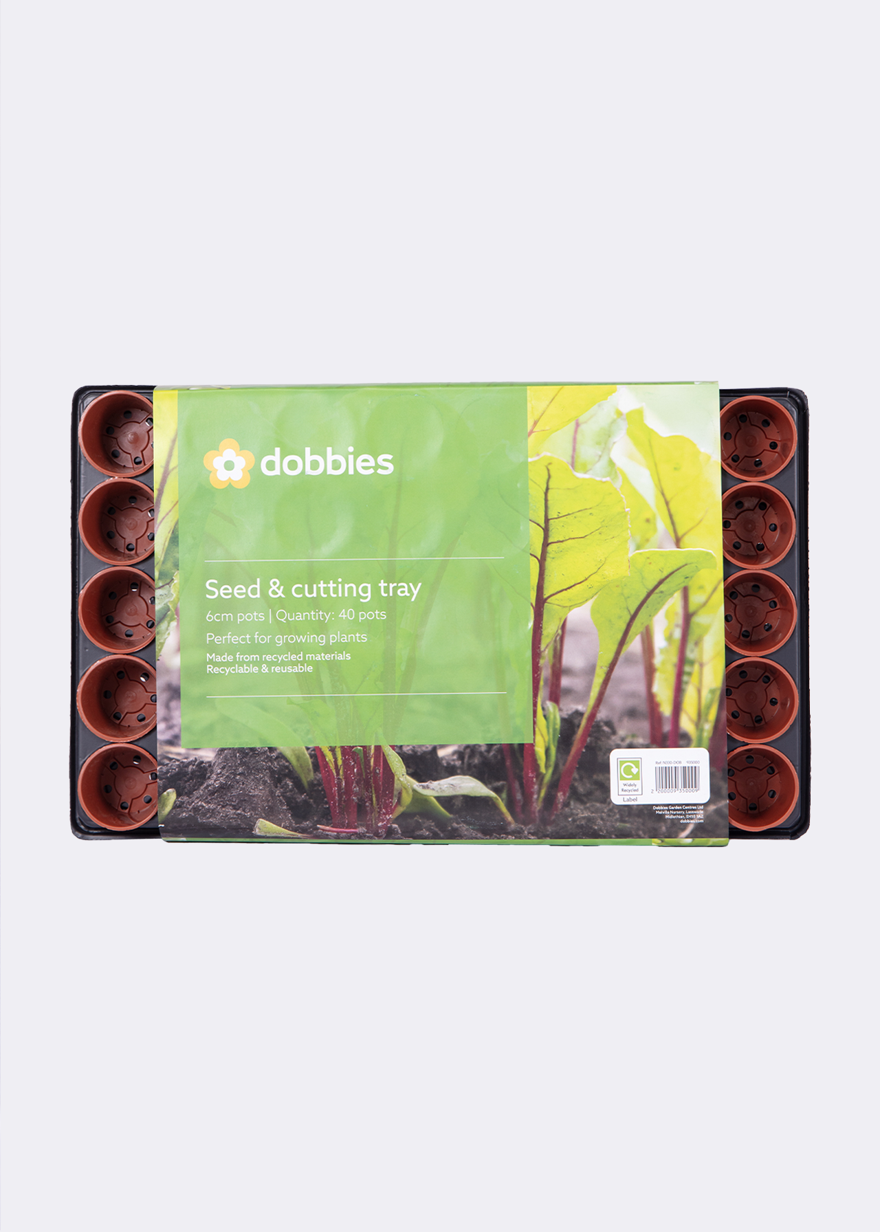 Dobbies Seed and Cutting Tray with 40x6cm Pots
