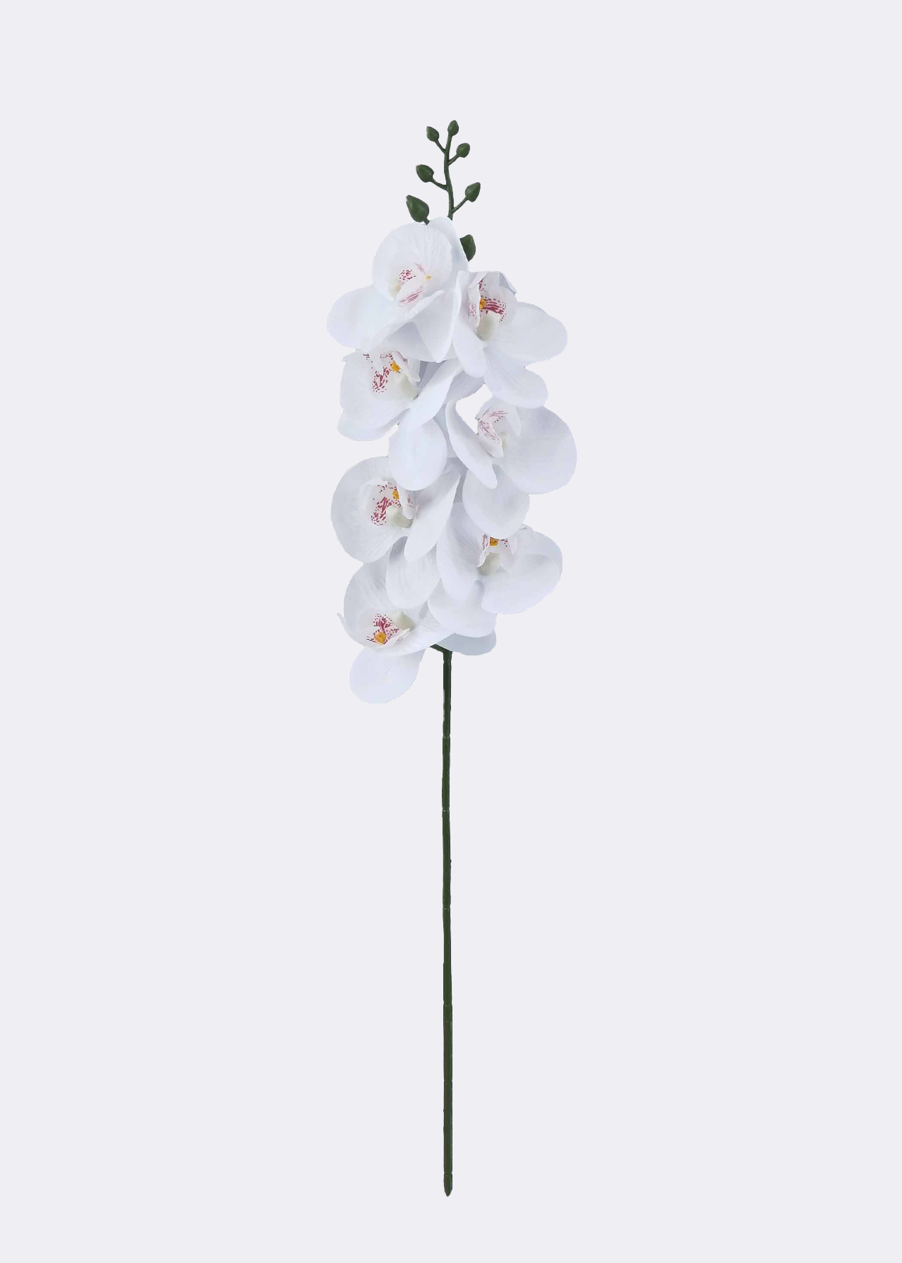 Faux Orchid Stem 70cm