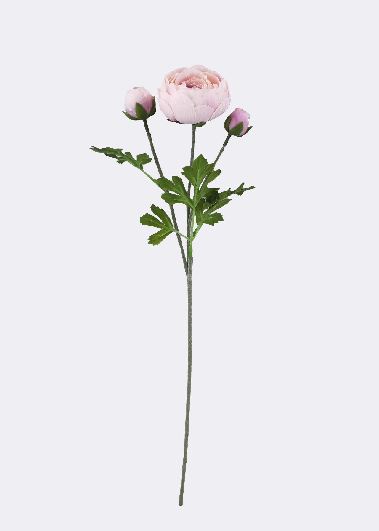 Faux Ranunculus Stem 53cm