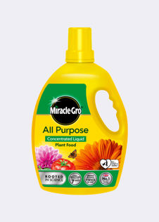 Miracle-Gro All Purpose Concentrate Plant Food 2.5L