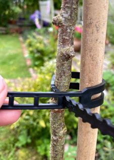 Pack of 5 Tree Binders 350mm