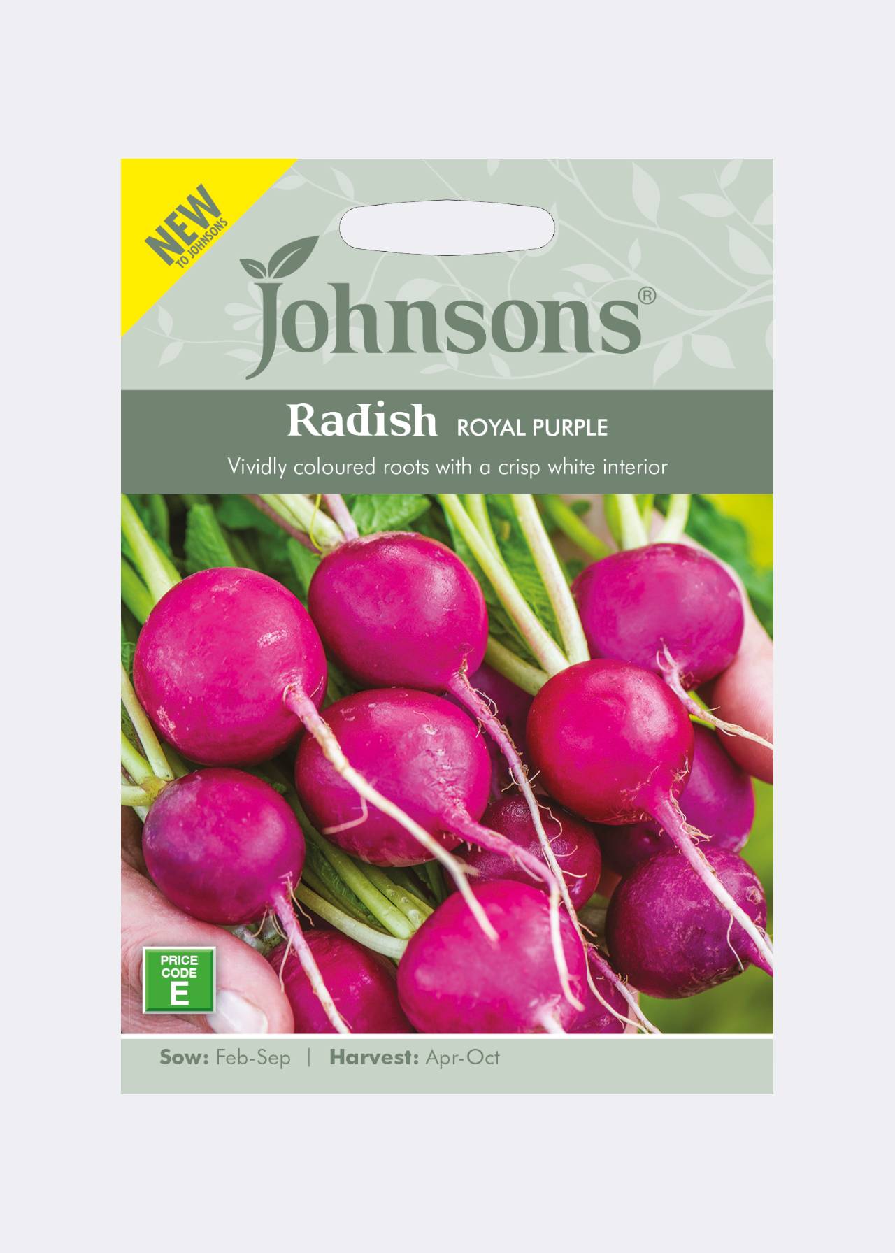 Radish Royal Purple Seeds