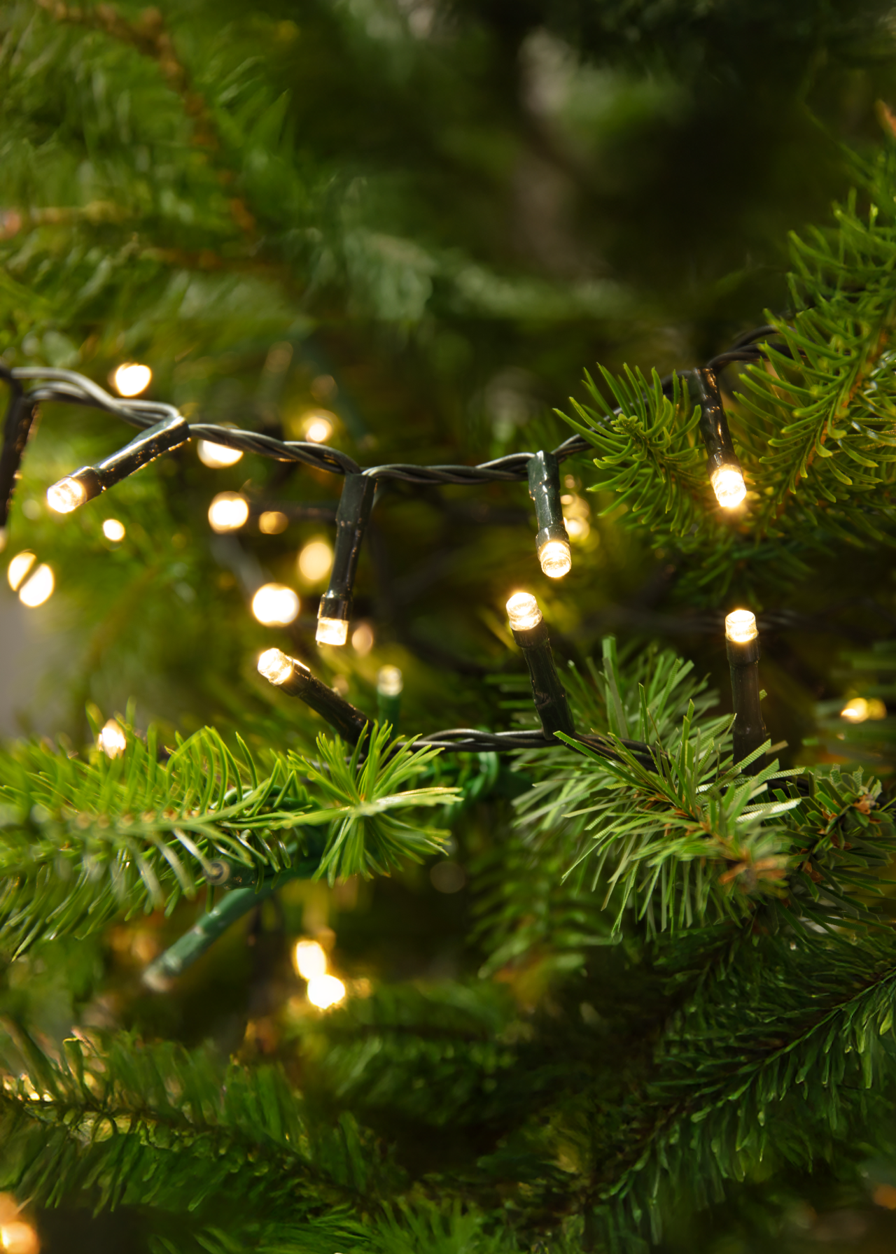500 LED Warm White Compact String Lights 12.5m