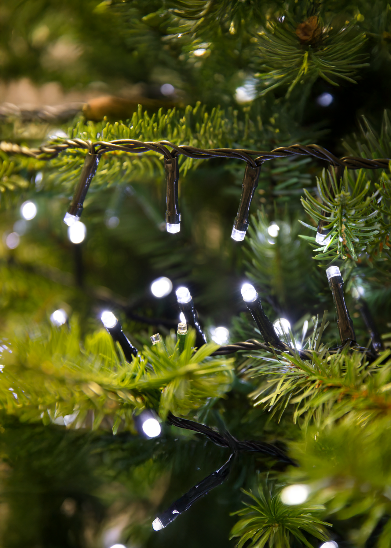 500 LED Bright White Compact String Lights 12.5m