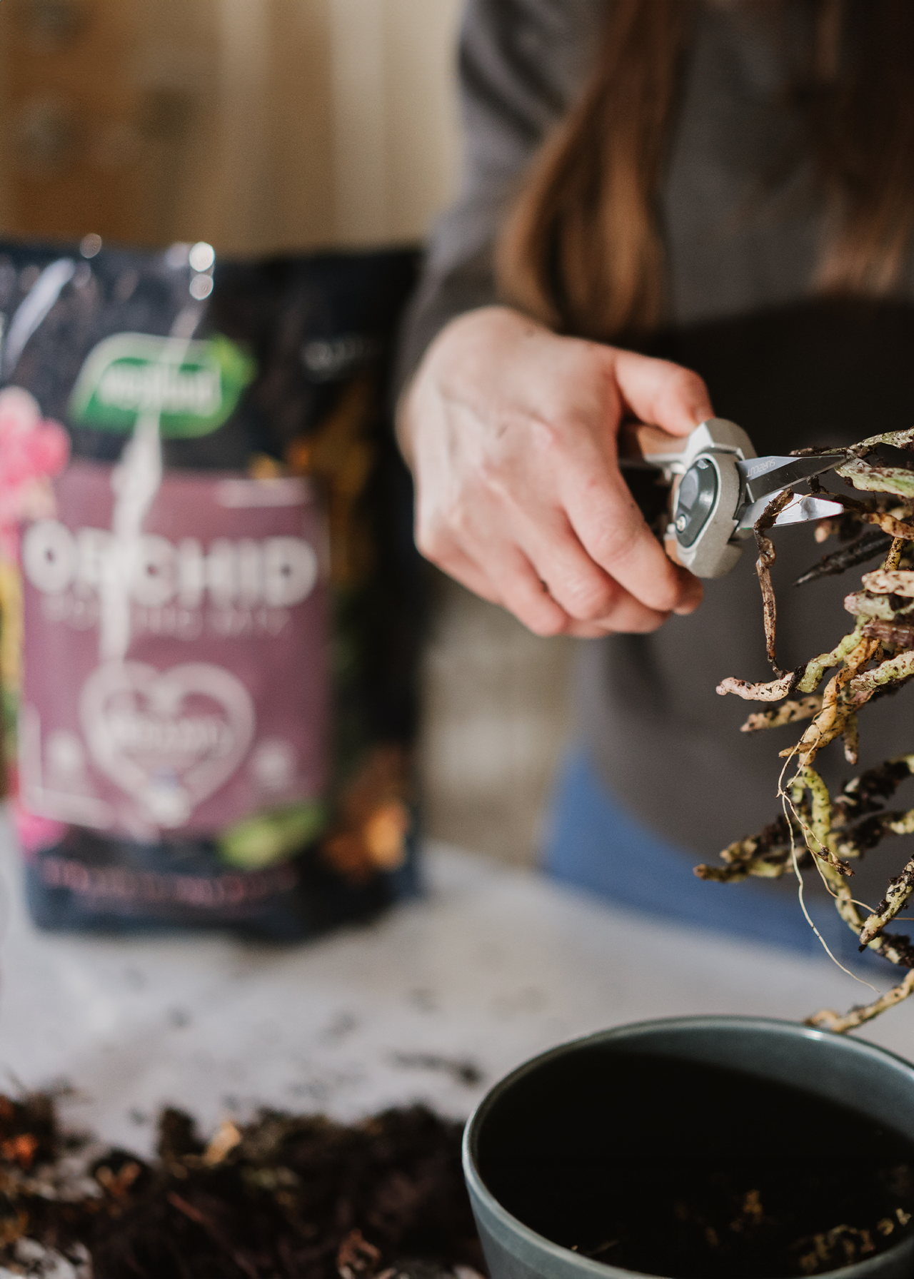 Orchid Potting Mix 4L