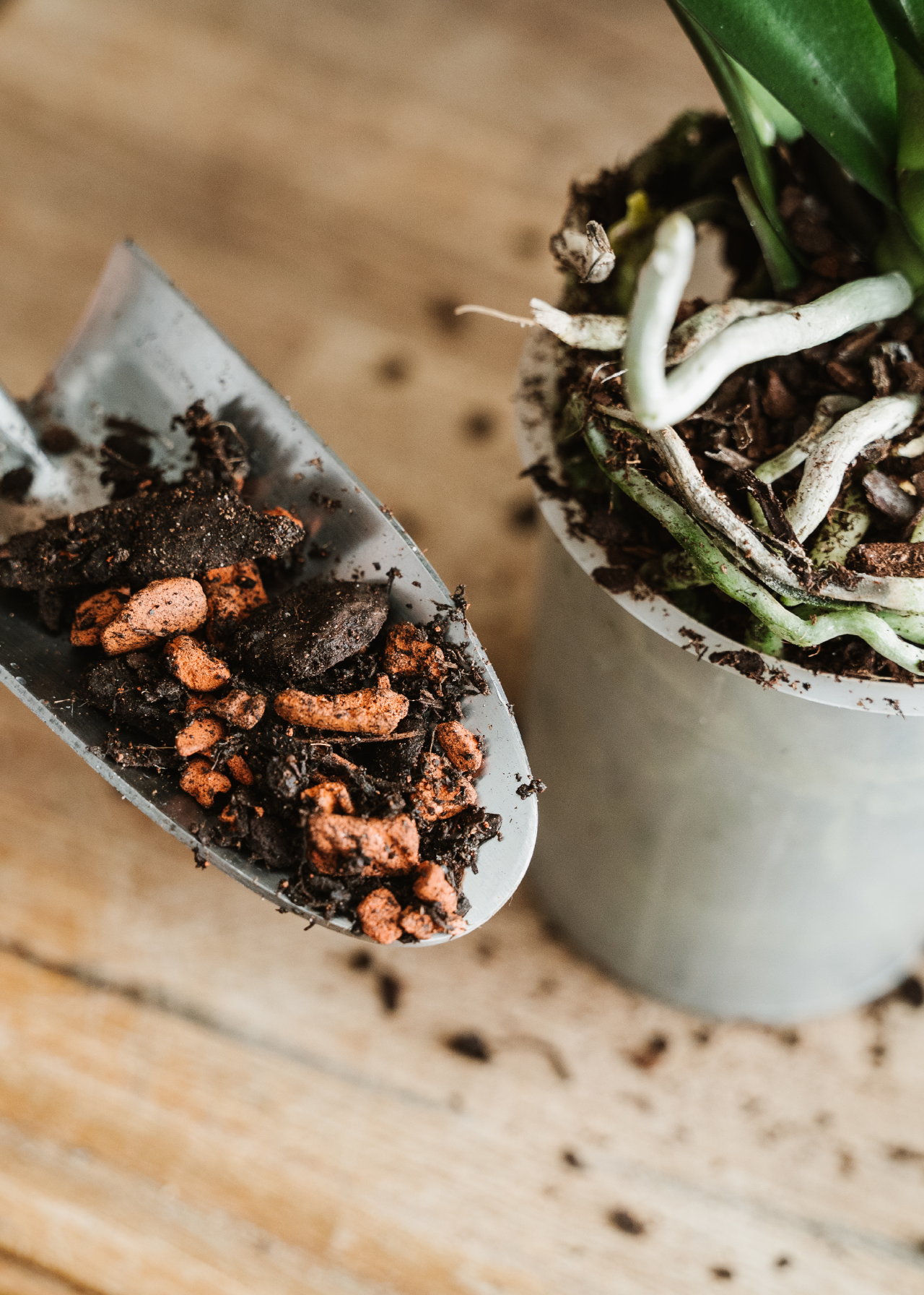 Orchid Potting Mix 4L