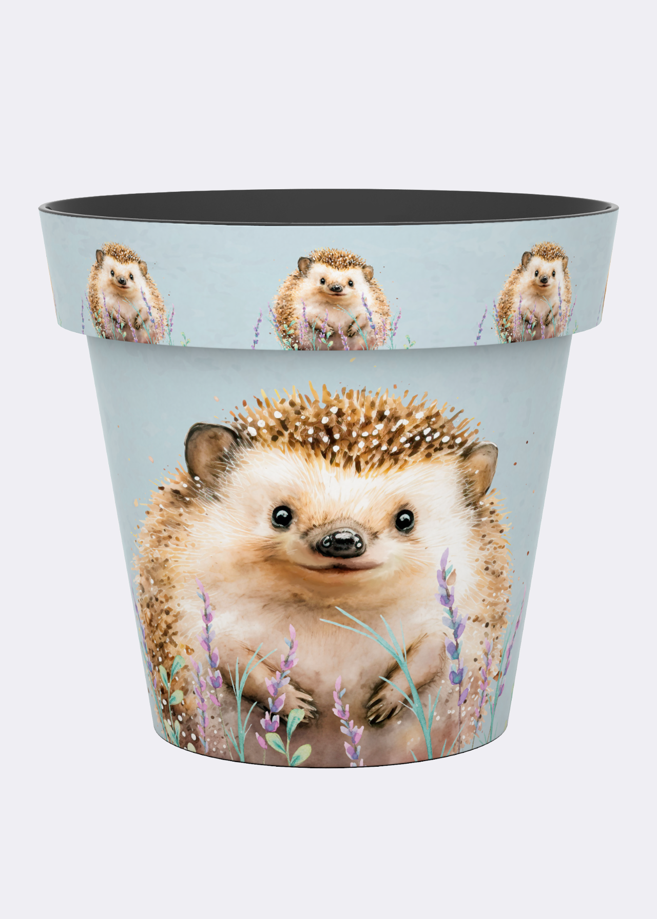 Hedgehog Zest Pot 15cm