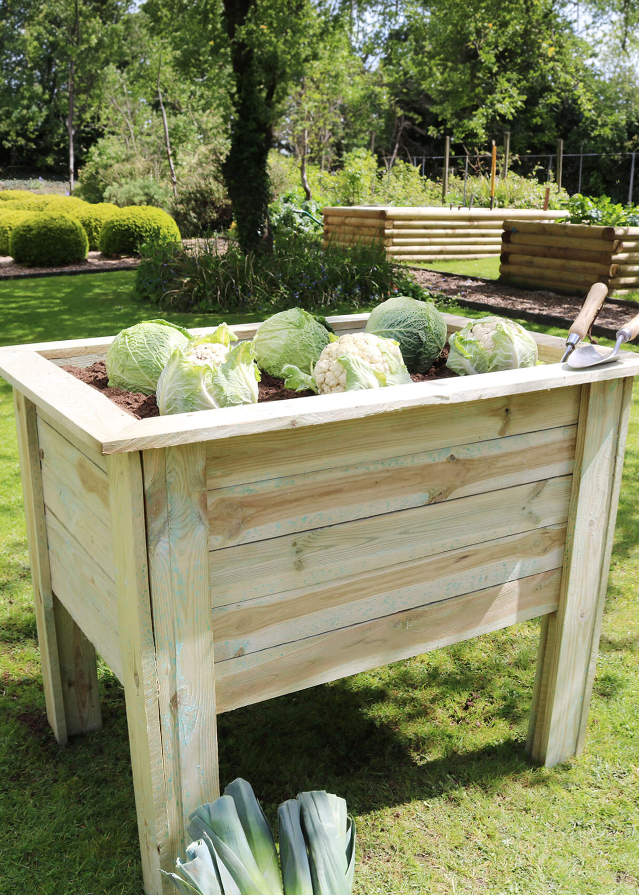 Deep Root Planter 1m