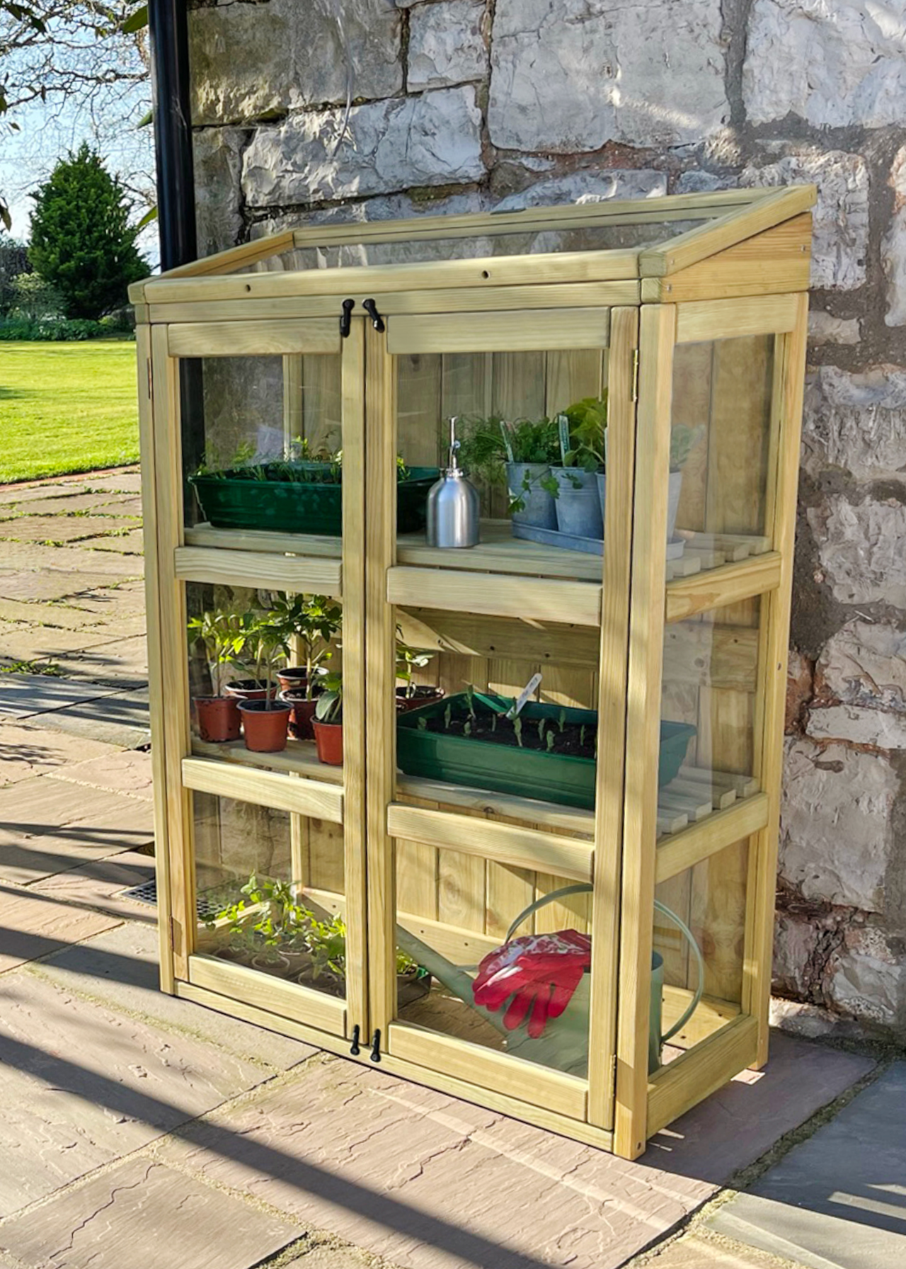 Compact Botanical Greenhouse