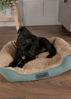 Scruffs Cosy Box Dog Bed Large Sage Green
