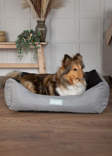 Scruffs Expedition Box Pet Bed Large Storm Grey
