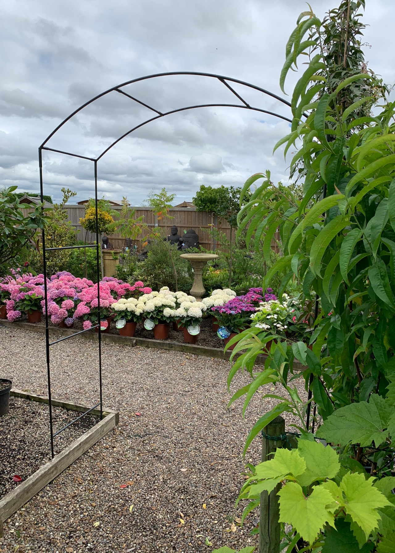 Monet softstanding garden arch