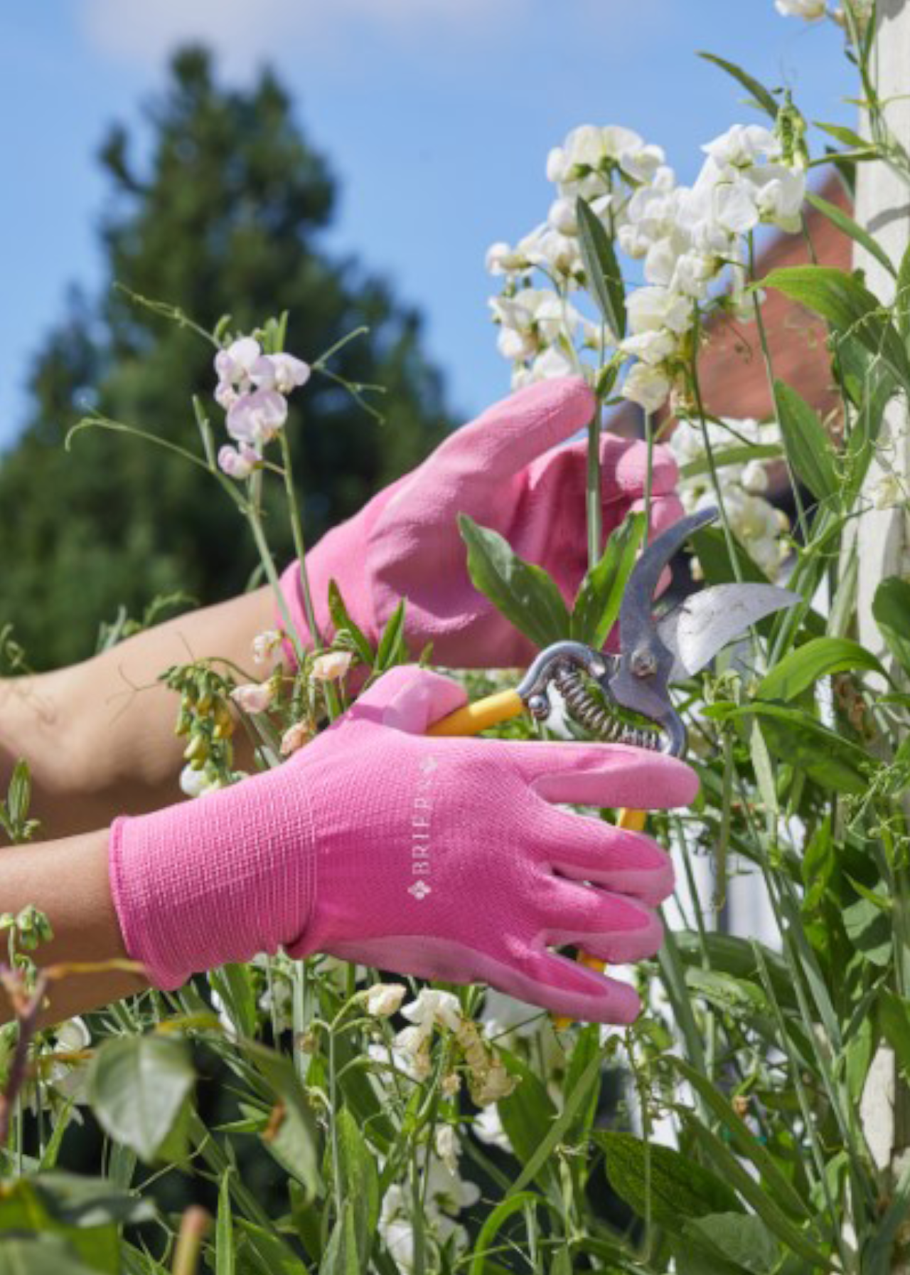 Comfi-Grips Gardening Gloves Small Pink