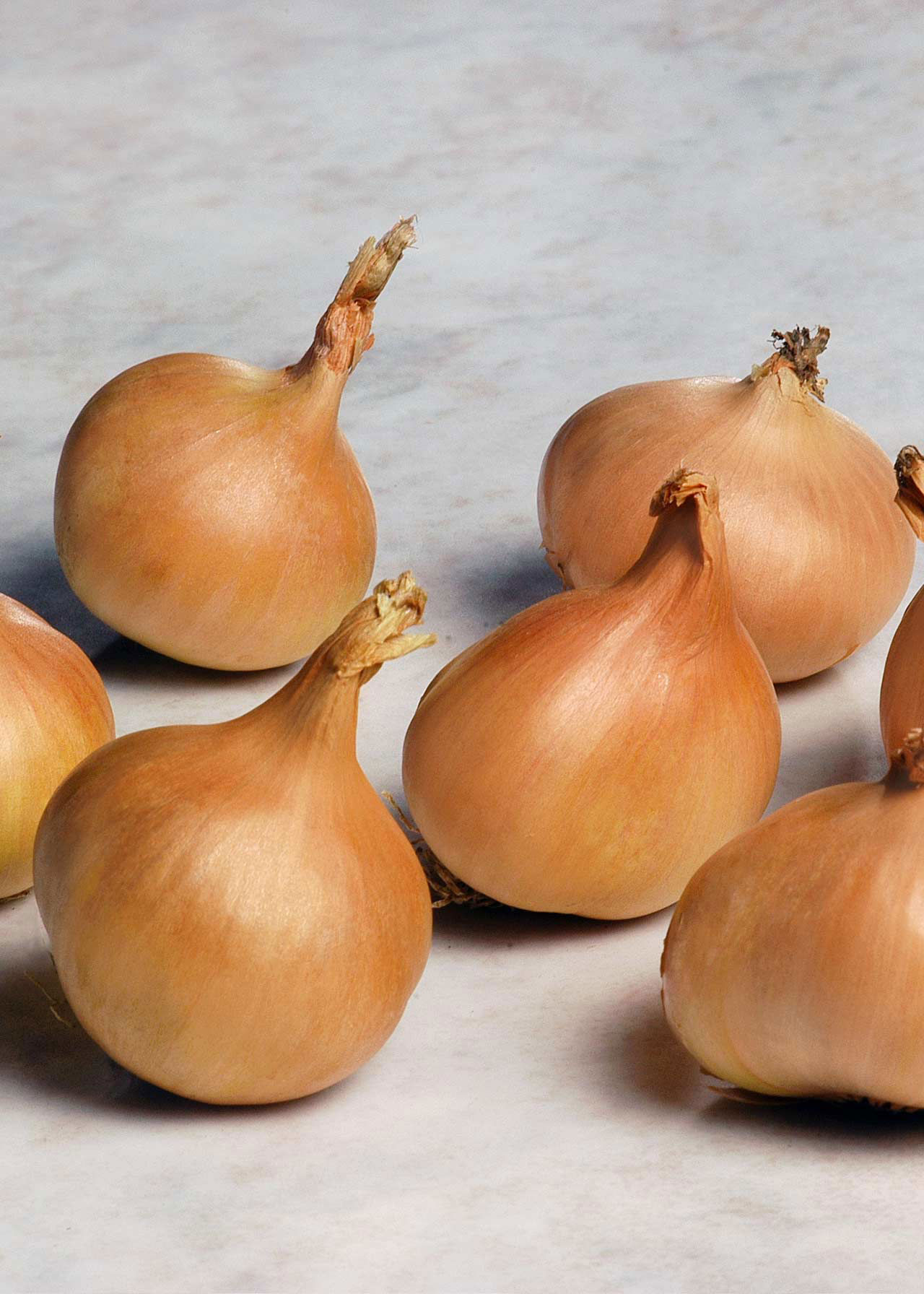 Golden Gourmet Shallots Pack of 10