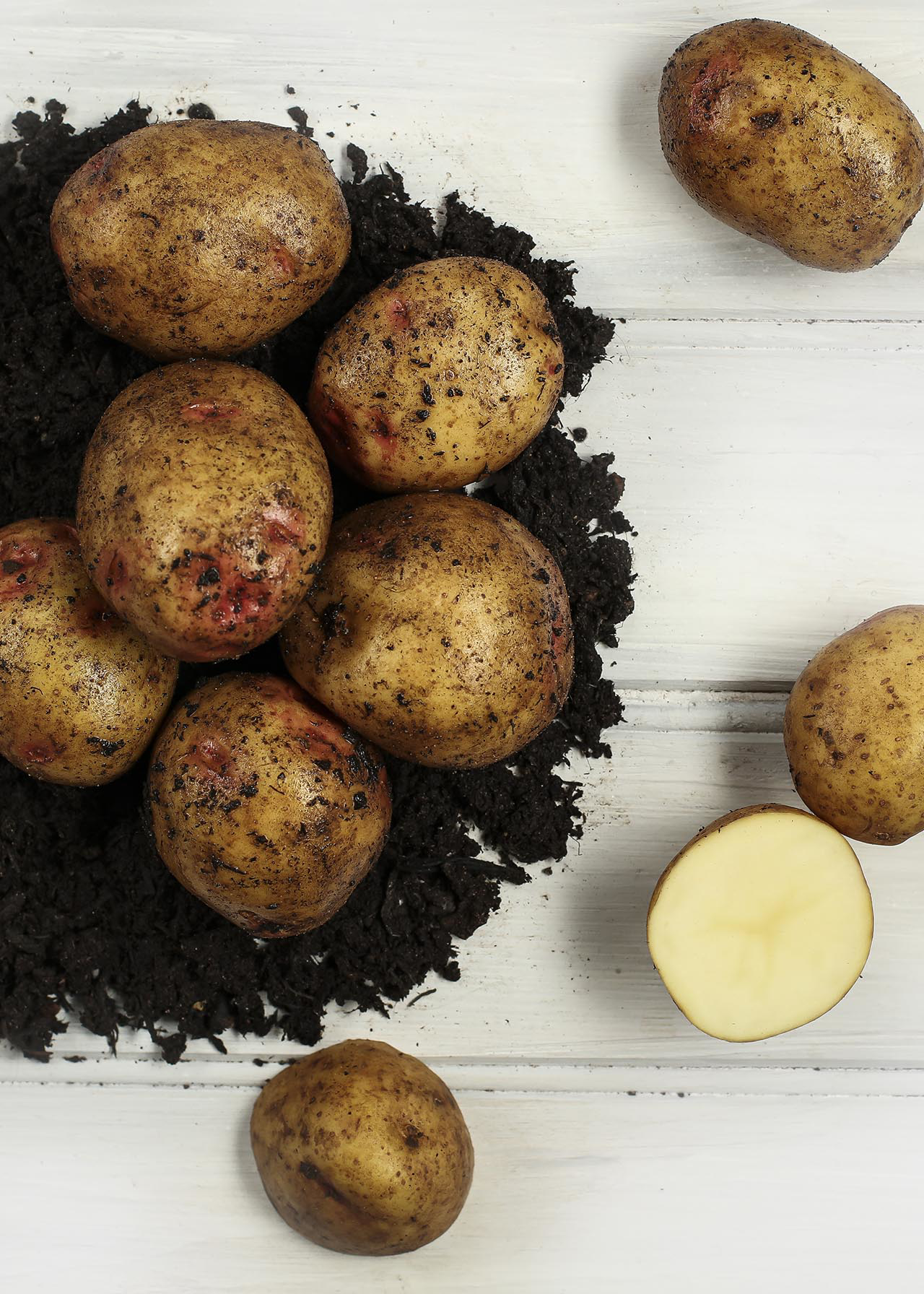 Seed Potato Cara 2kg