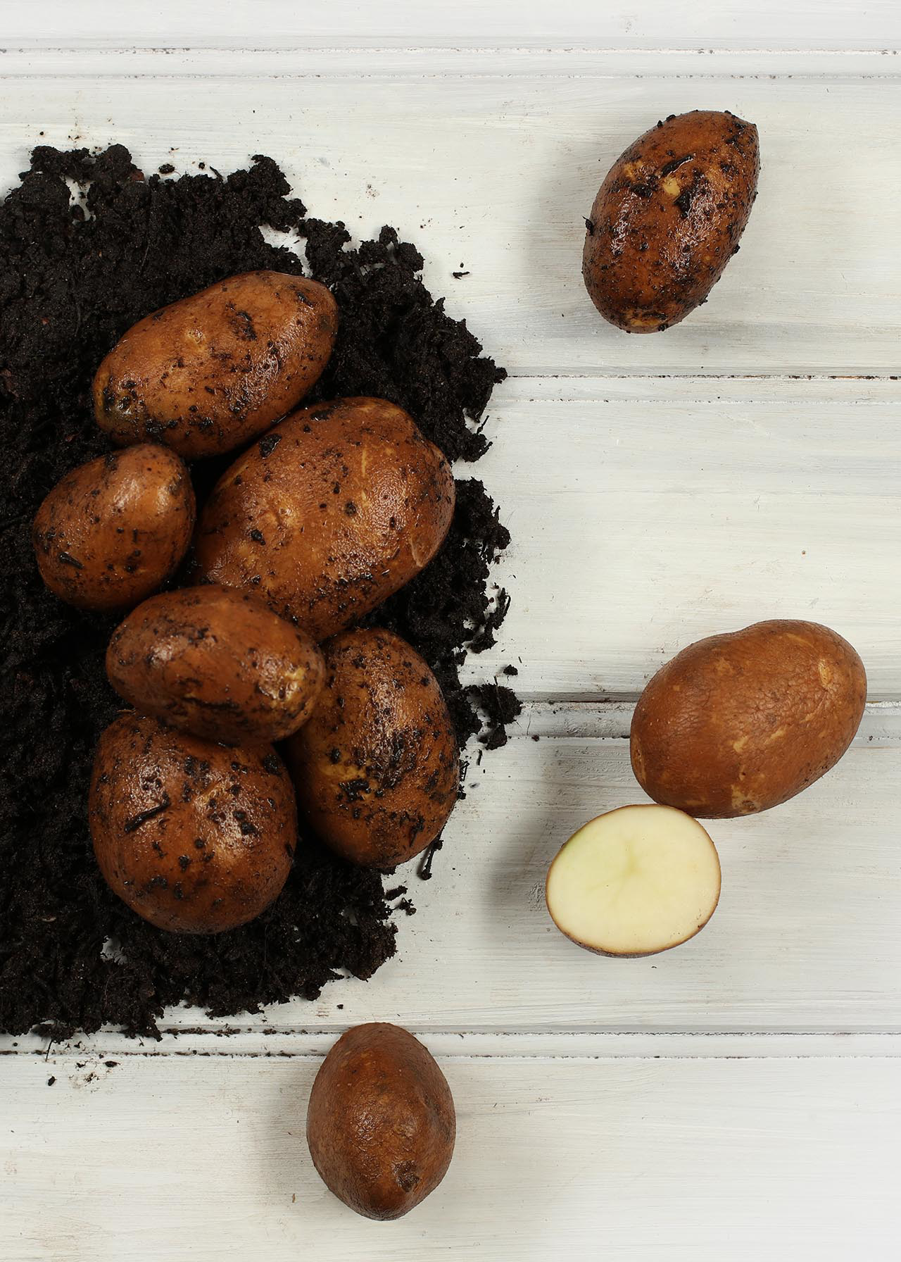 Seed Potato Golden Wonder 2kg