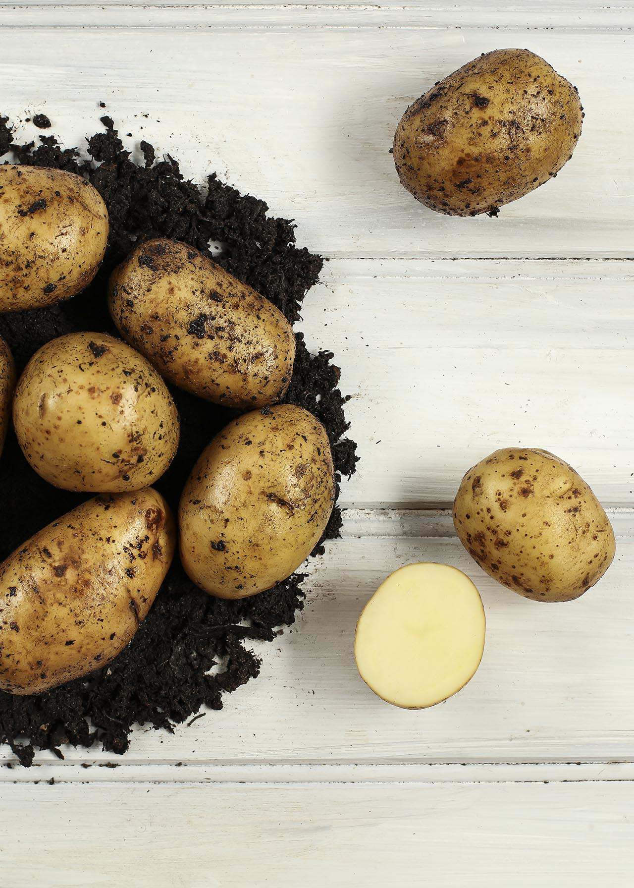 Seed Potato Nadine 2kg