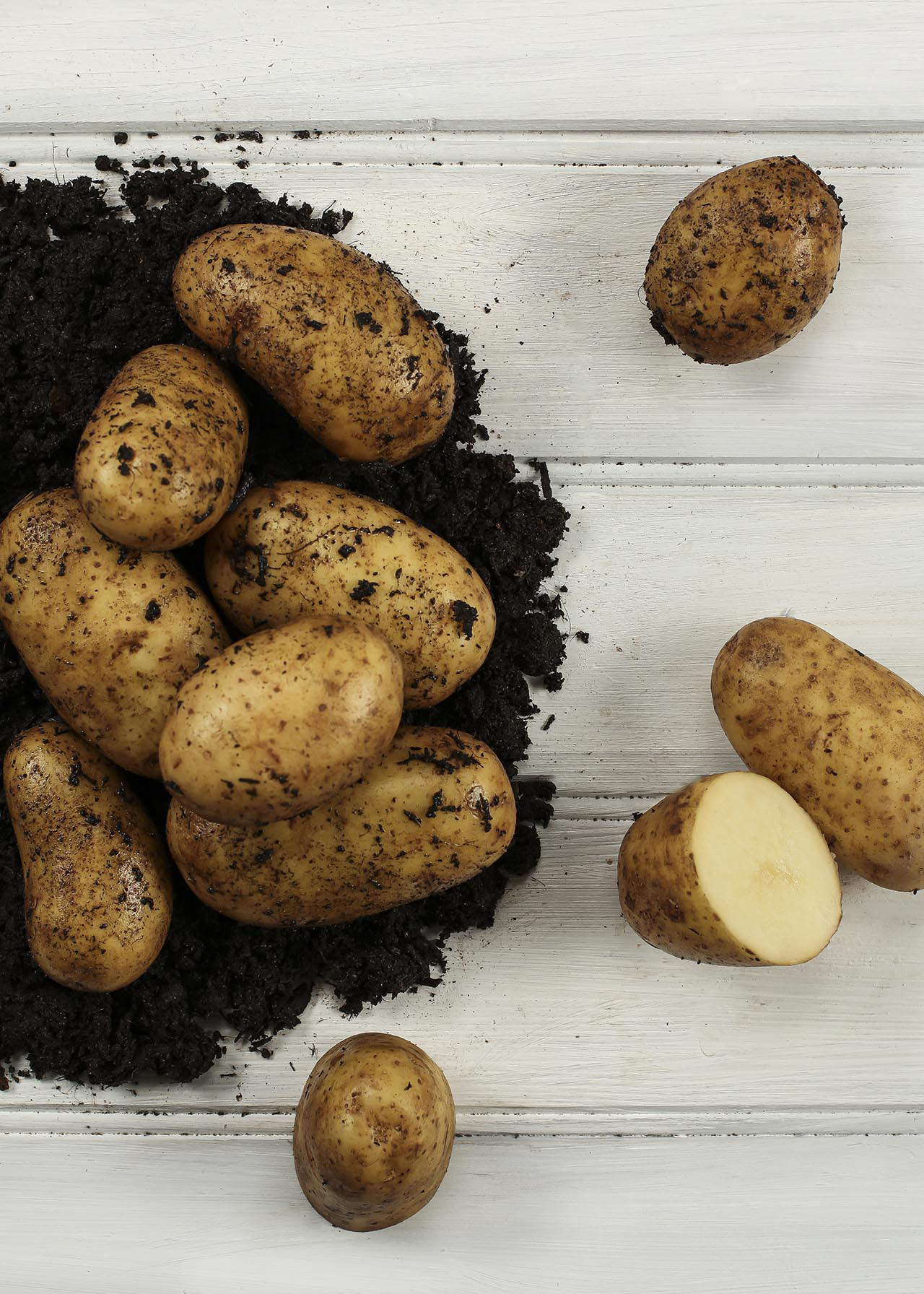 Seed Potato Pentland Dell 2kg