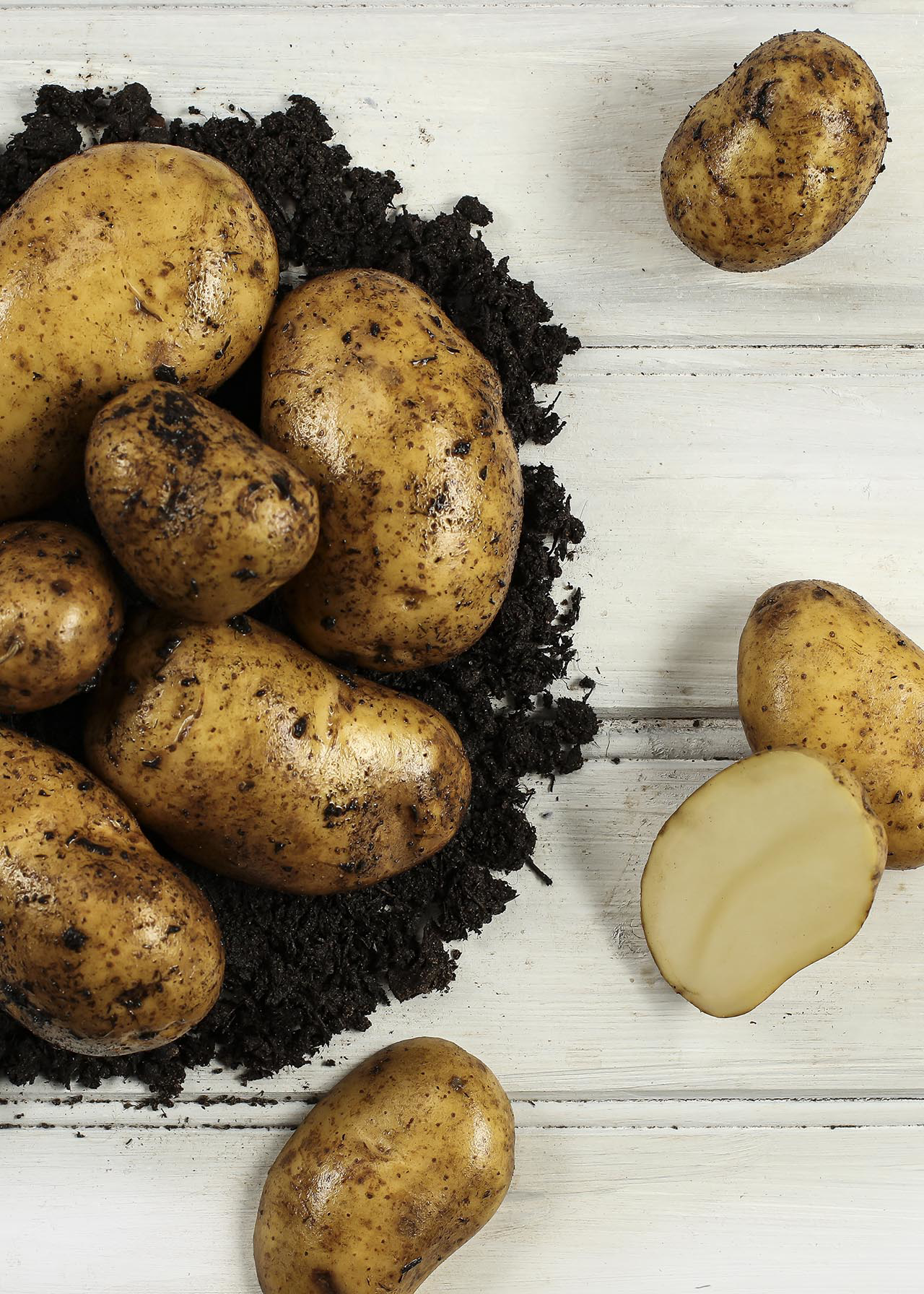 Seed Potato International Kidney 2kg