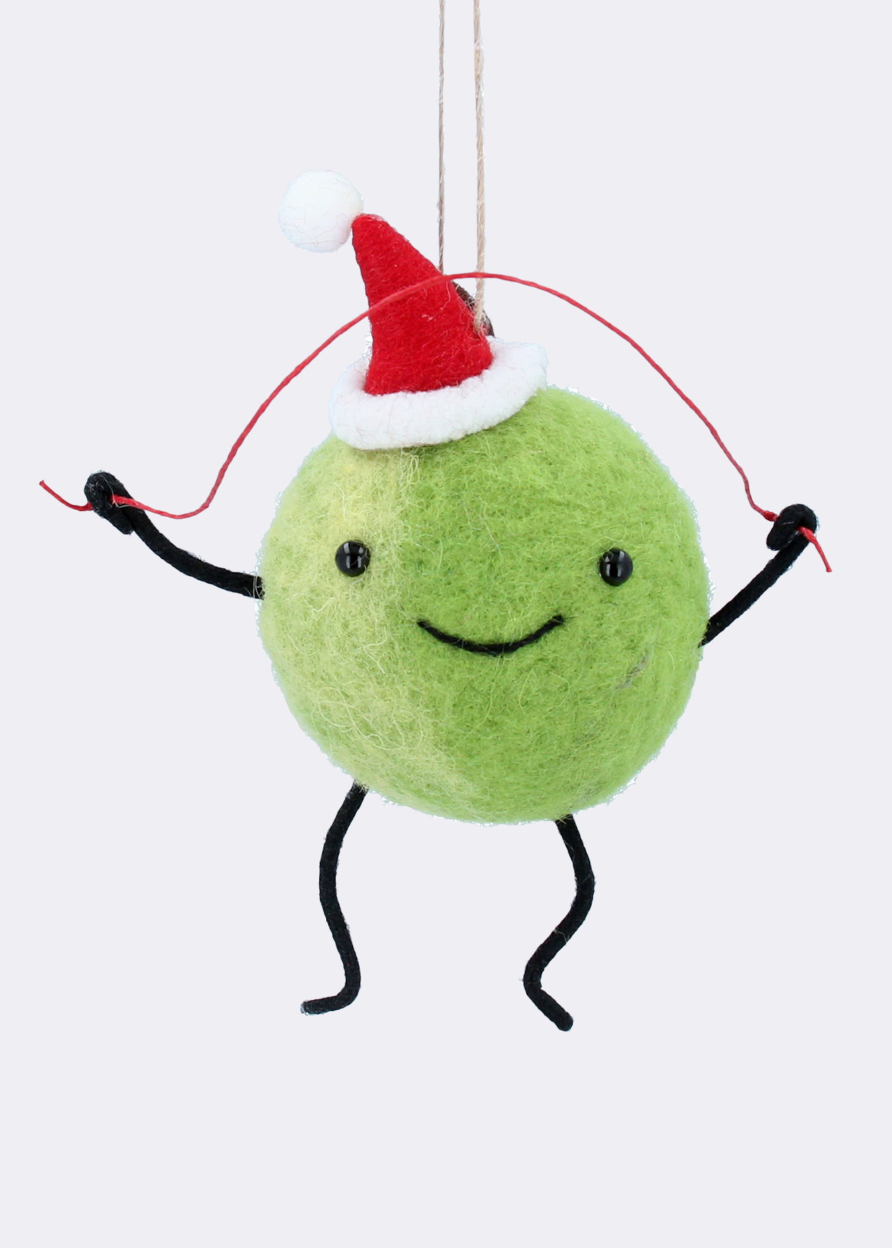 Mixed Felted Wool Santa Sprout With Skipping Rope