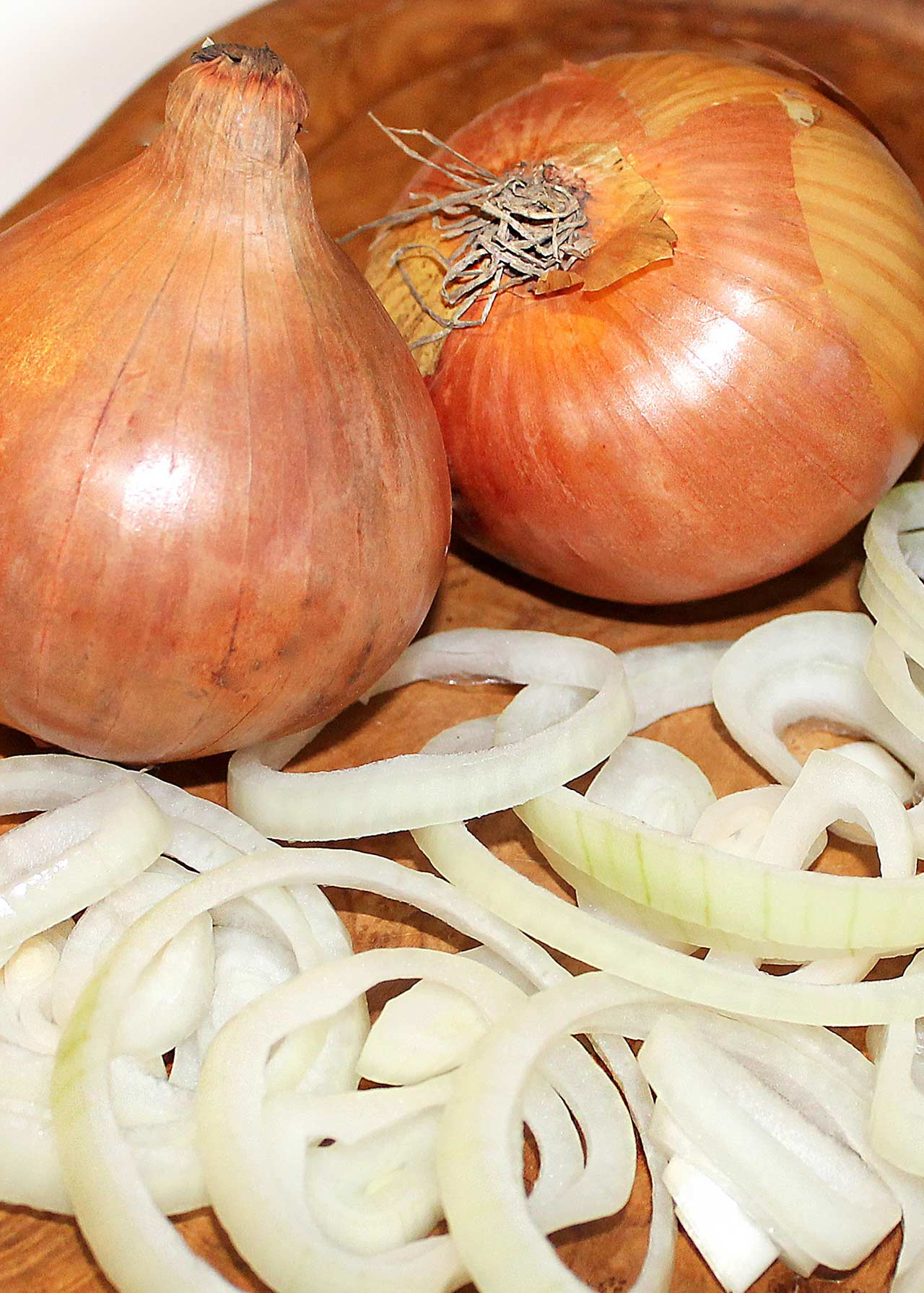 Dobbies Value Stuttgarter Giant Pack of 100