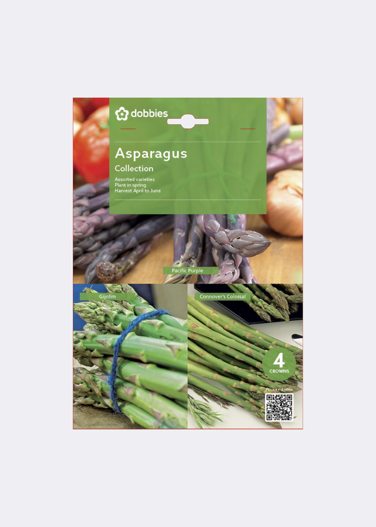 Dobbies Asparagus Collection Pack of 4