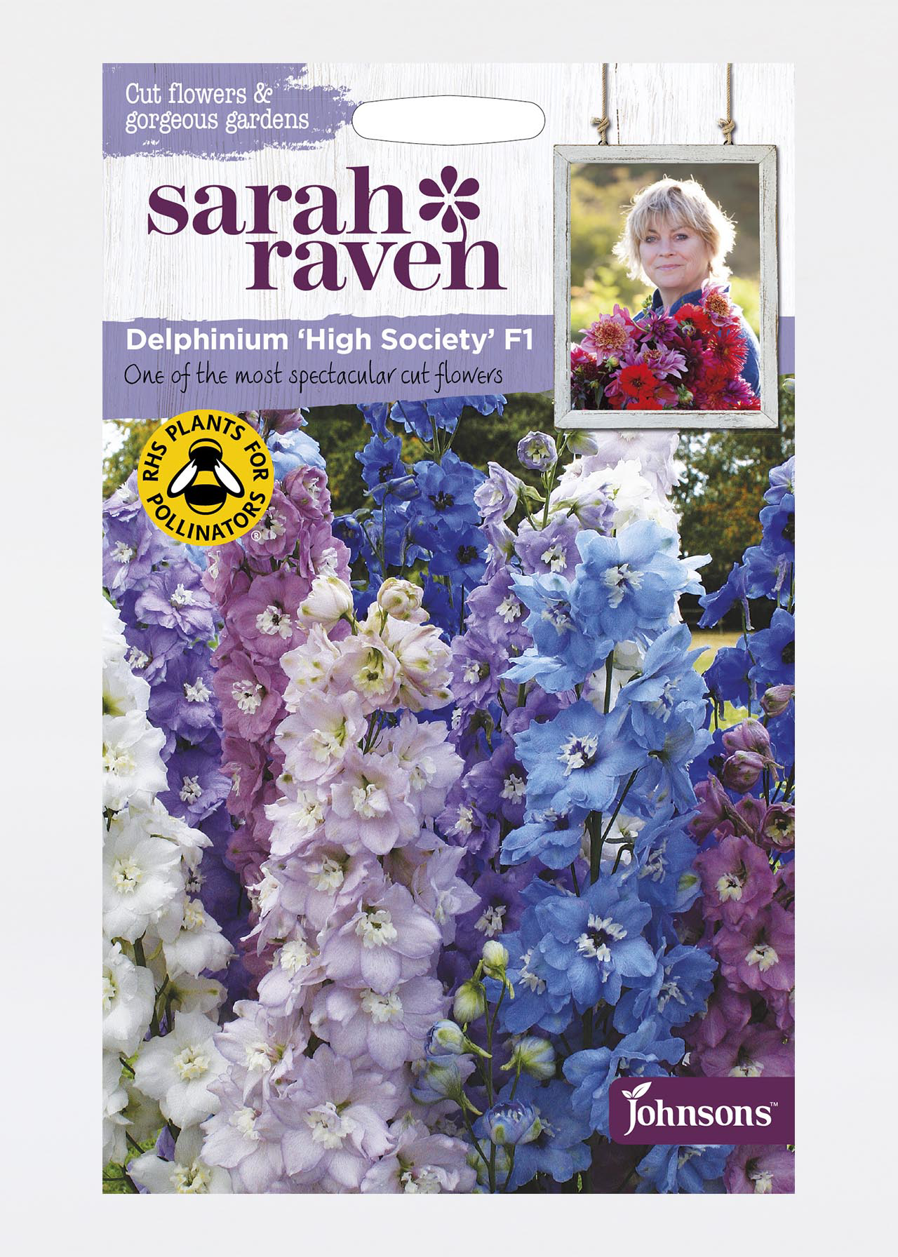 Delphinium High Society Mixed F1