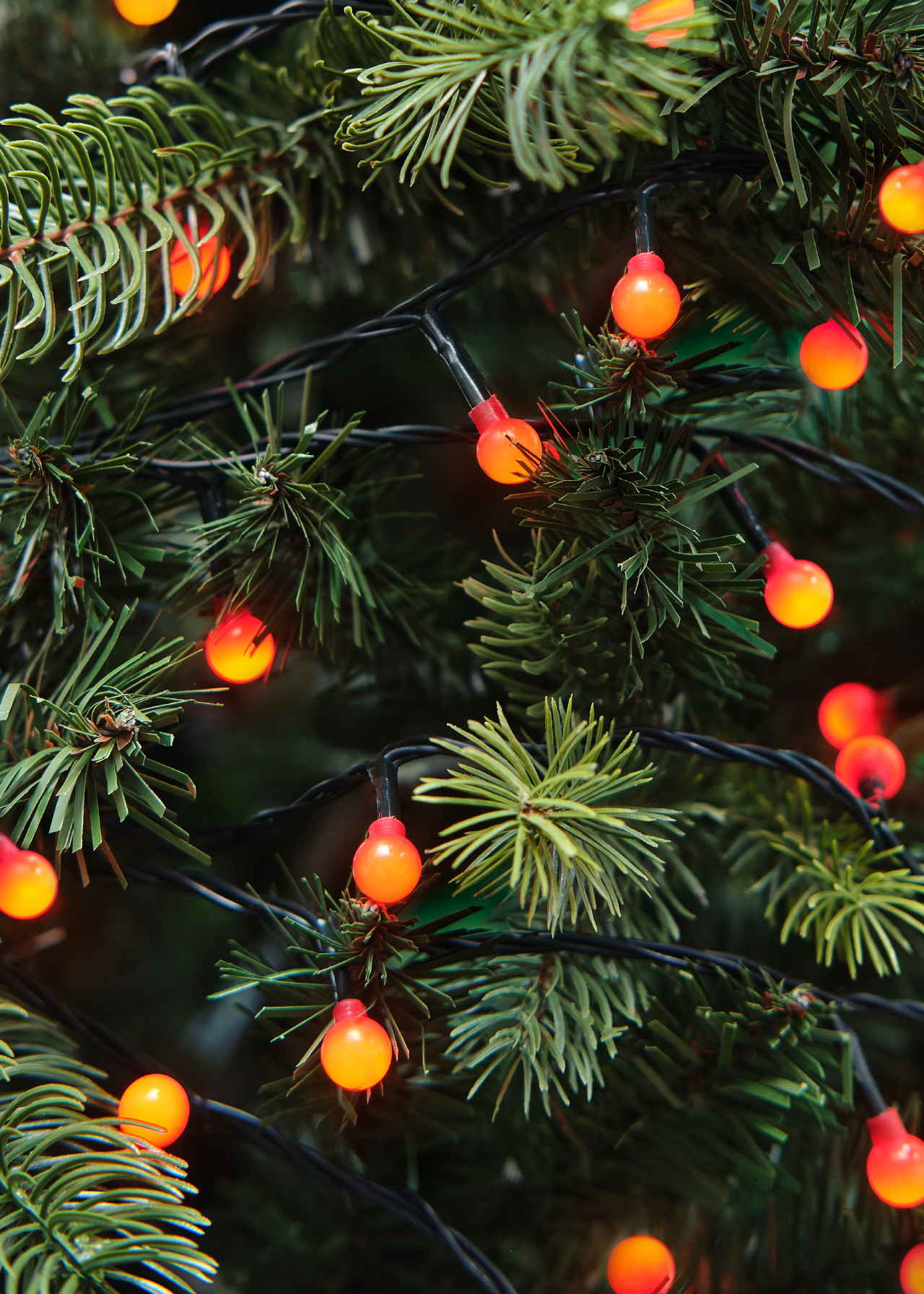 120 LED Red Berry String Lights 8.9m