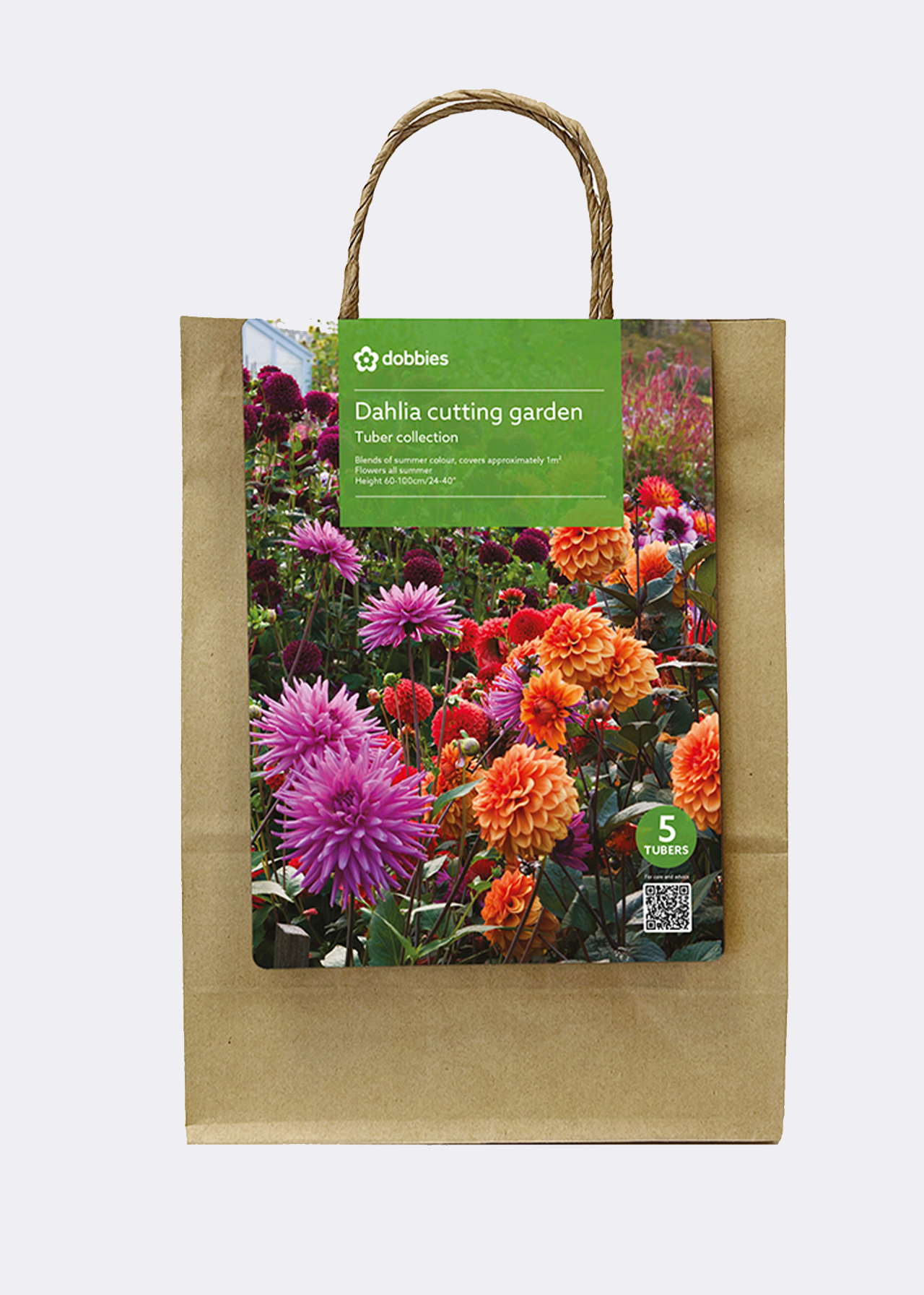 Dahlia Cutting Garden Pack of 5