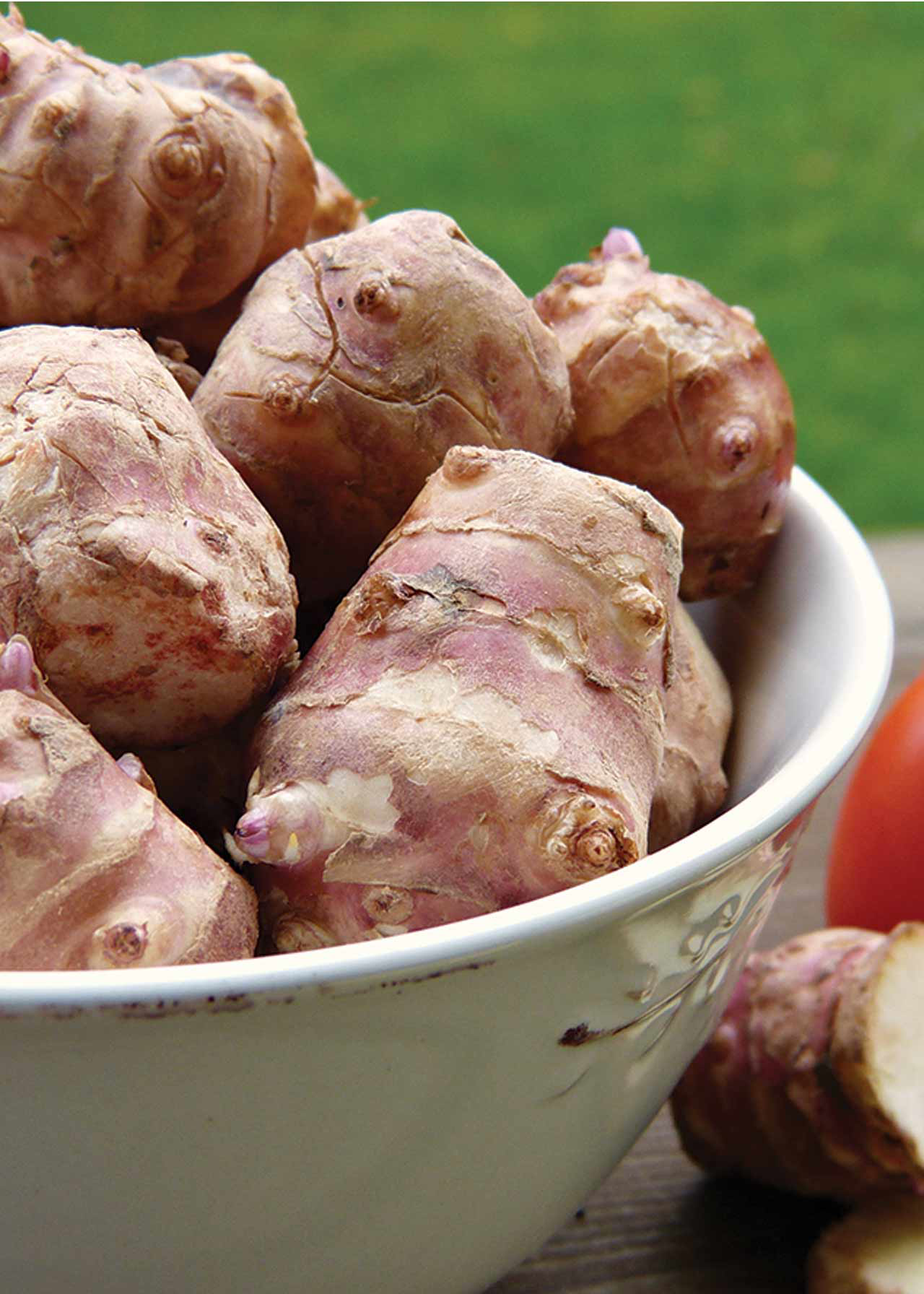 Jerusalmem Artichoke Pack of 2