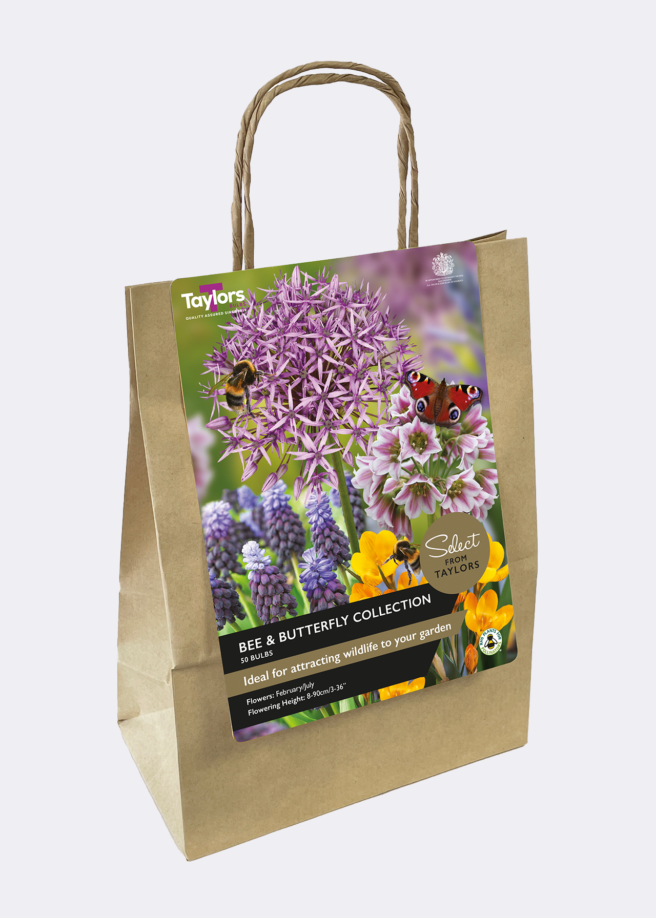 Bee & Butterfly Collection pack of 50