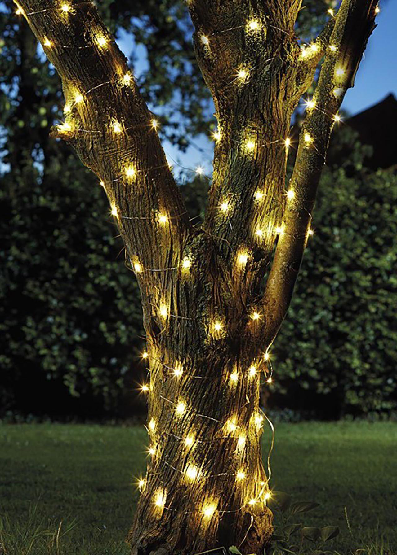 100 Multi-Colour LED Firefly String Lights
