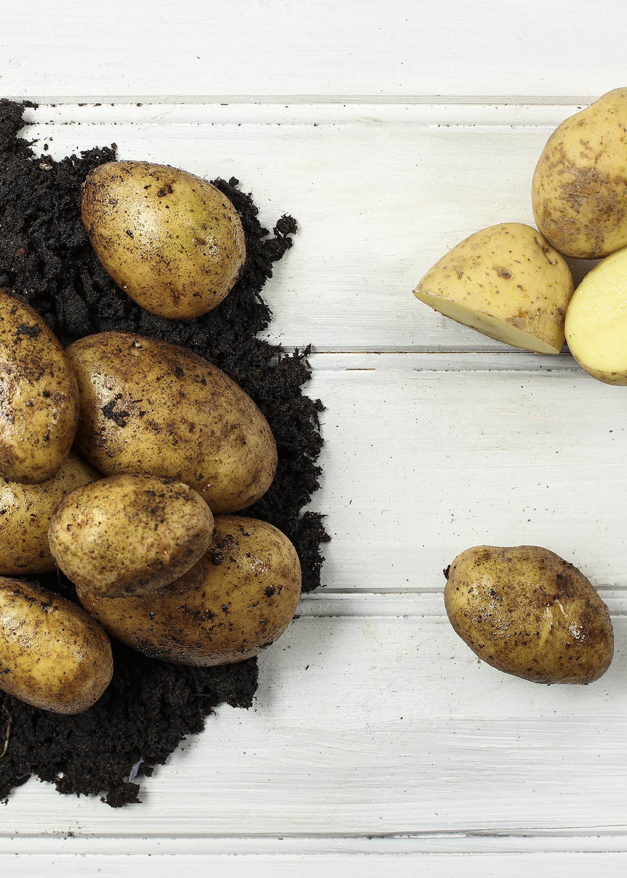 Potato Wilja 1.5kg