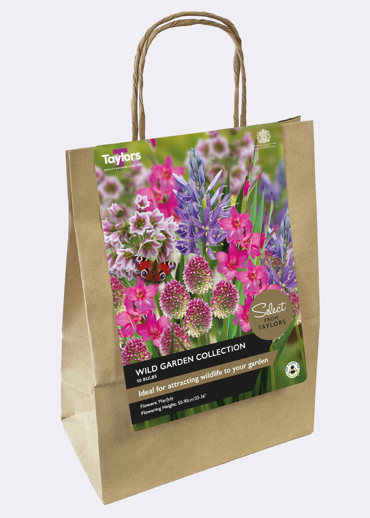 Wild Garden Collection pack of 50